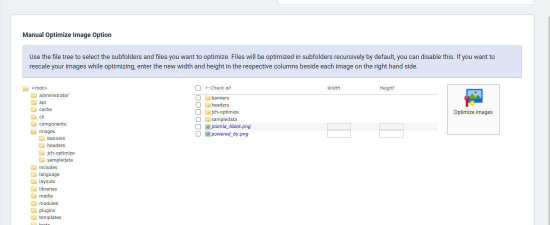 Manual Optimize Image Option